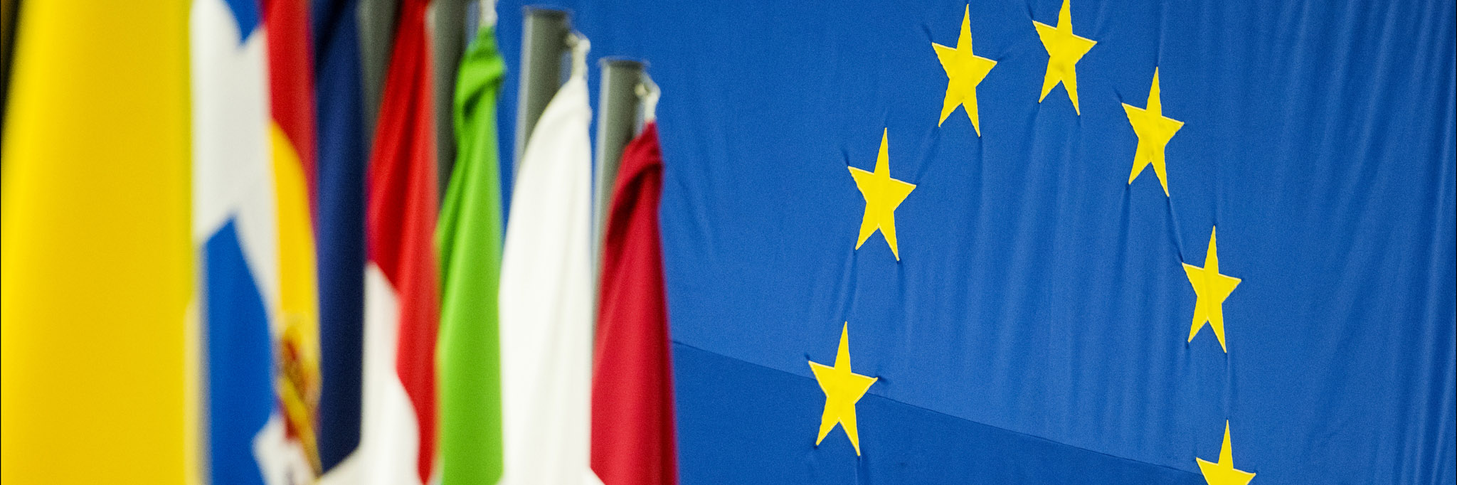 Pilot Project EuroSWARM and SPIDER activities completed