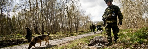 BISON COUNTER Exercises