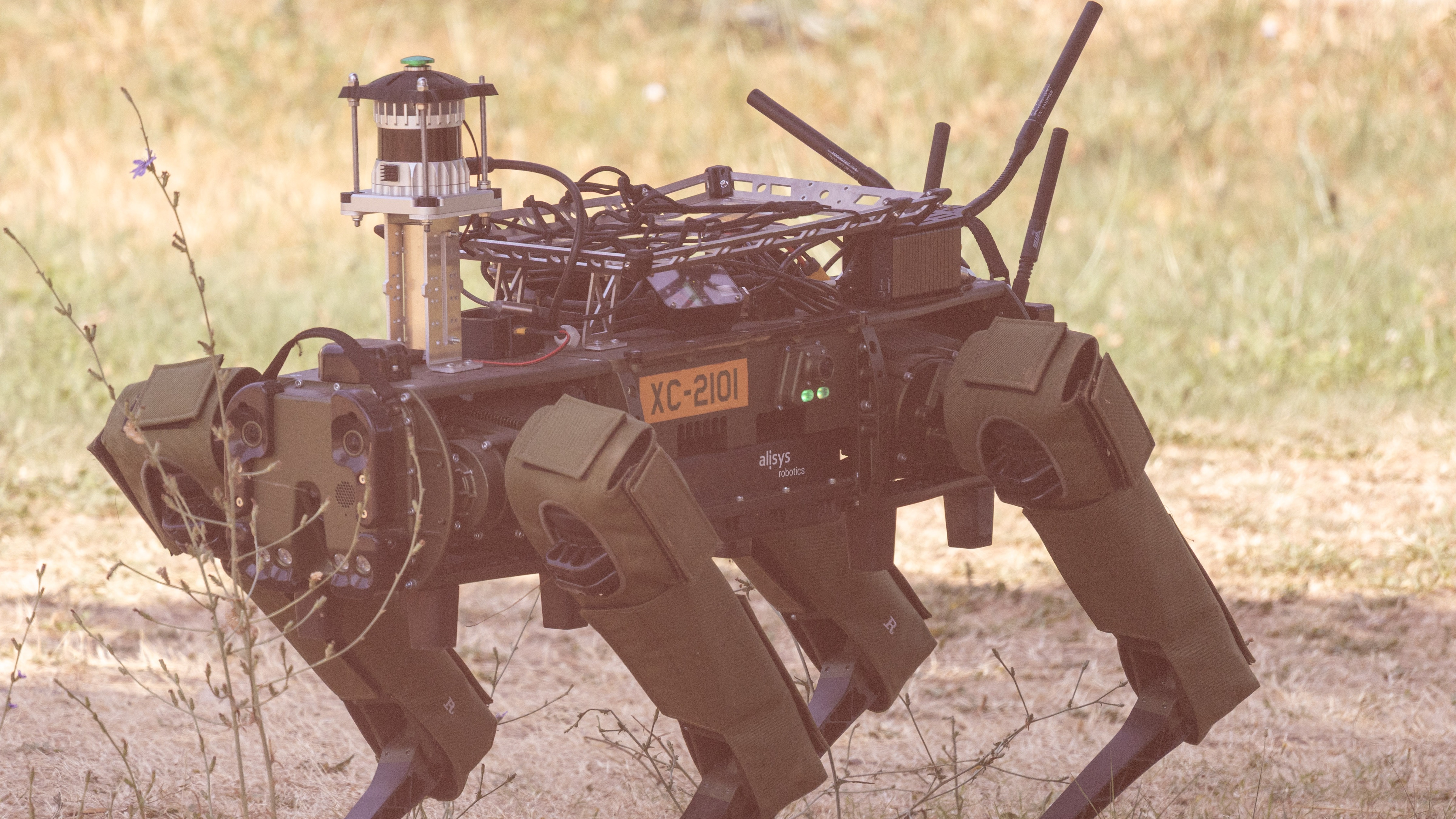 cropped-Alisys cropped-Alisys