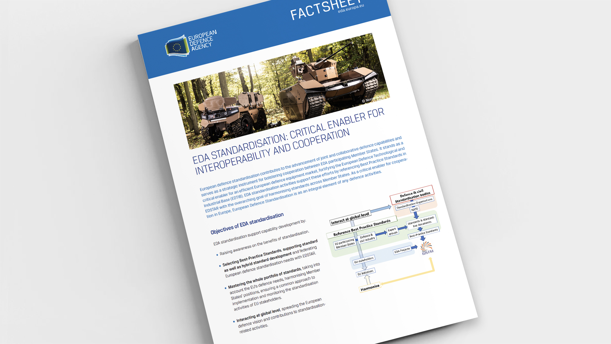 Mock up - Standardisation factsheet